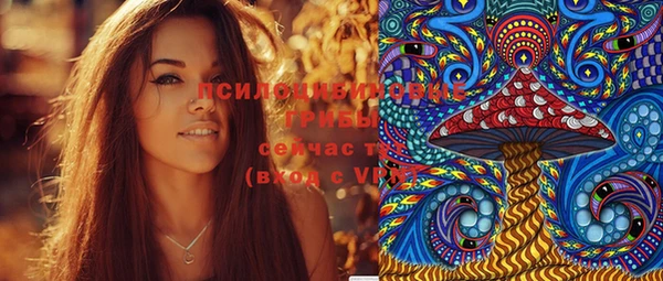 спиды Переславль-Залесский