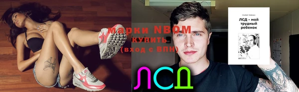гидропоника Алзамай
