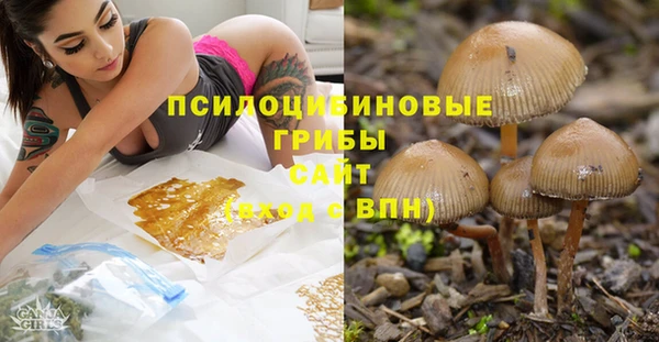 соль курить ск Алексеевка