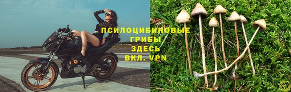 бошки Алексин
